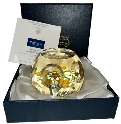1997 WHITEFRIARS CAITHNESS DAFFODIL SPRAY PAPERWEIGHT 39/50 ALLAN SCOTT ~ MIB