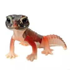 Mini figurine capsule gecko léopard de la série Gecko Encyclopedia