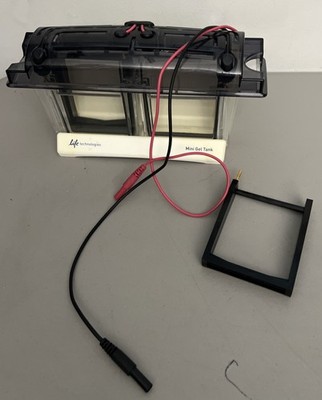Thermo Invitrogen Mini Gel Tank A25977 Electrophoresis Cell Biorad Mini Protean