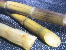 1 Kilo of Sugar Cane Imported from the Caribbean - Photo 1/1