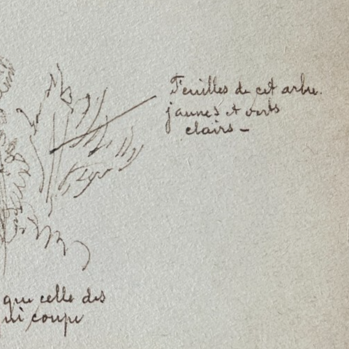 Antique Drawing Original Flower, Floral, Still Life, Nature, Leafs 1935 - Picture 5 of 8