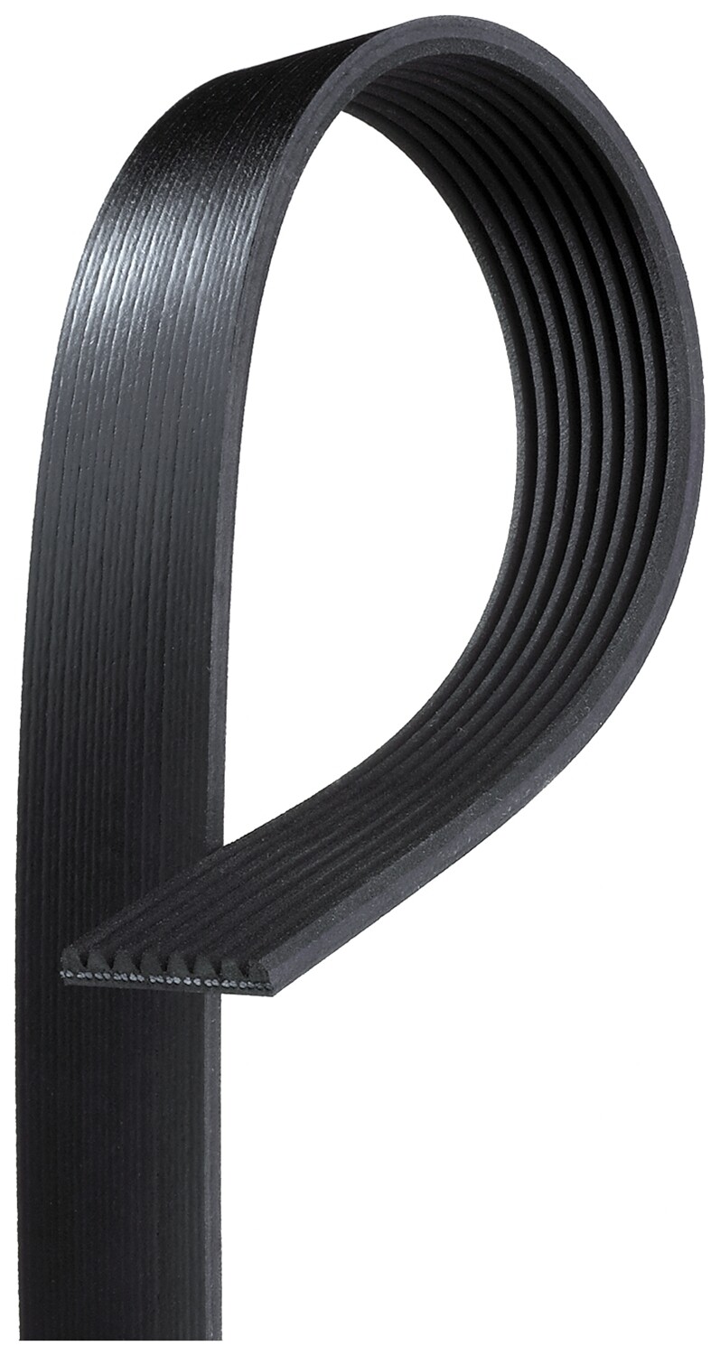 GATES 8PK1005HD V-Ribbed Belt for VOLVO