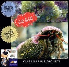 ✅Pack 5 Paguri Pulitori STOP ALGHE Alghivori Acquario Marino Alghe Invasive Top
