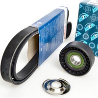 Bosch 6PK1205 Keilrippenriemen + Rolle FüR Dacia Sandero Renault Clio
