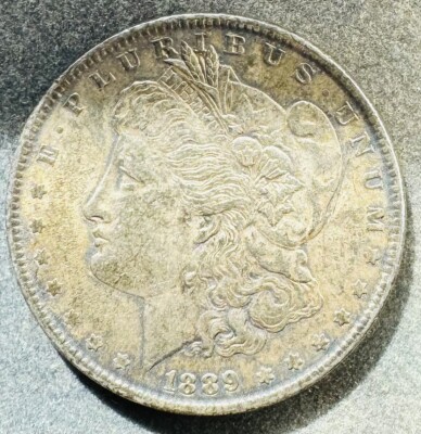 1 Dollar 1889 USA  Morgan Dollar  26,73 g .900 Silber KM#110 K180824CH