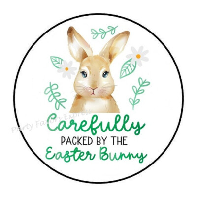 10cm Auto-Aufkleber Sticker Decal Laptop Farbe Efully Packed Easter Bunny R838