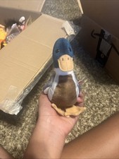 Ty Jake the Mallard Duck Plush Toy