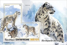 Snow leopards