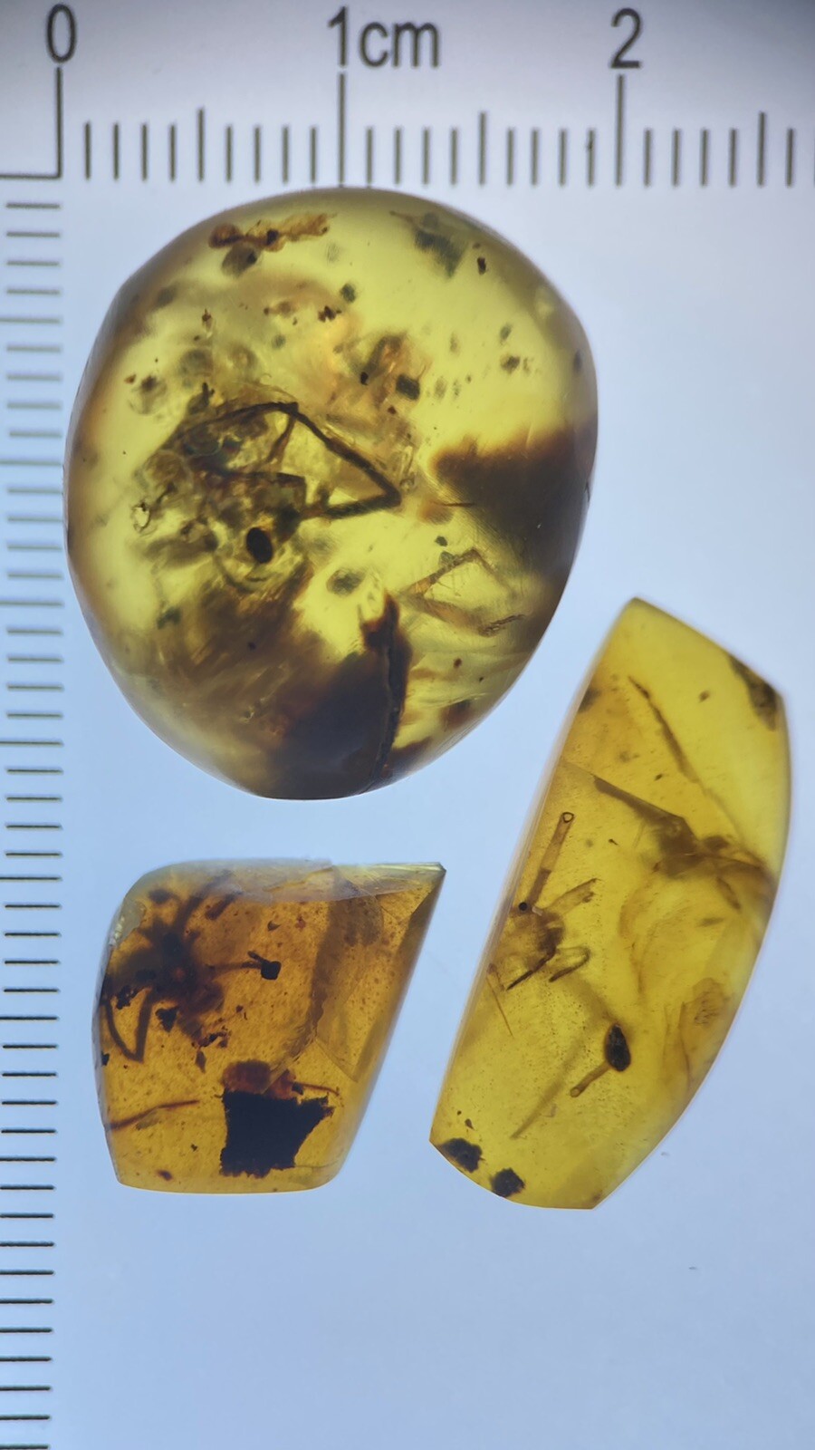 Foto 1 di 7