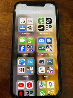 Apple iPhone 12 Pro Max with TikTok 