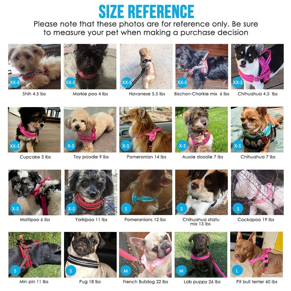 Dog Harness and Leash Set, Soft Padded Small Dog Harness, Neck & Chest Adjust...