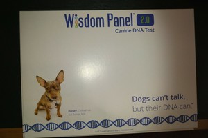 wisdom panel 2.0