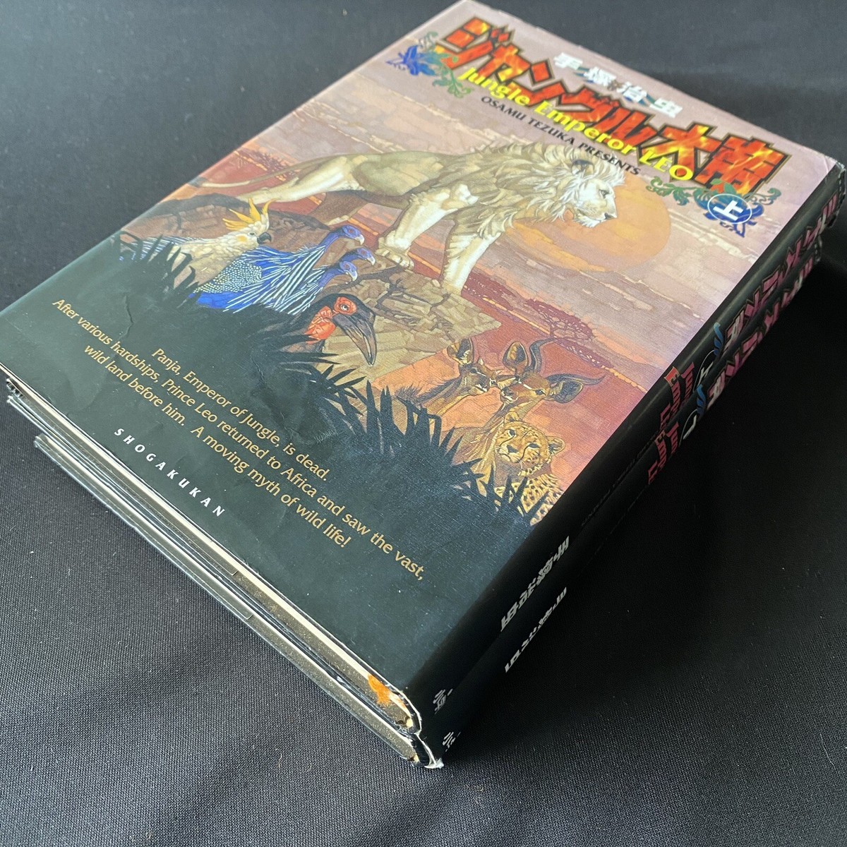 COMIC JUNGLE 作品集 SHOGAKUKAN COMIC JUNGLE 作品集 SHOGAKUKAN