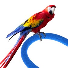 Bird Perch Grinding Wood Paw Birdcage Floor Pole Cardboard Parrot