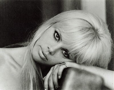 Britt Ekland Photo Movie Model Actress Pin Up 8x10 Candid *P127a