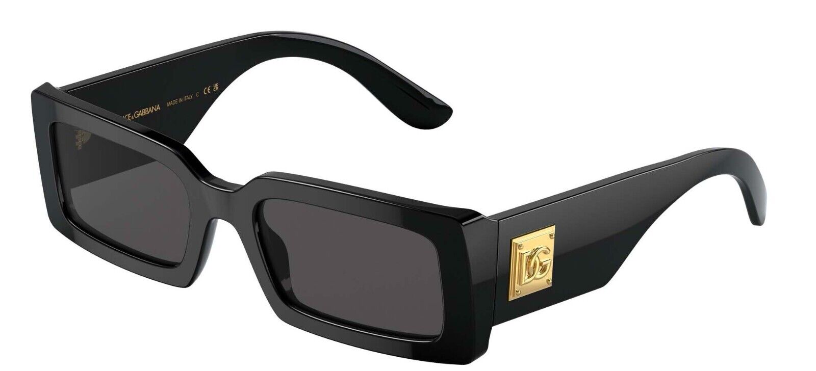 Dolce & Gabbana DG 4416 Shiny Black/Grey (501/87) Sunglasses