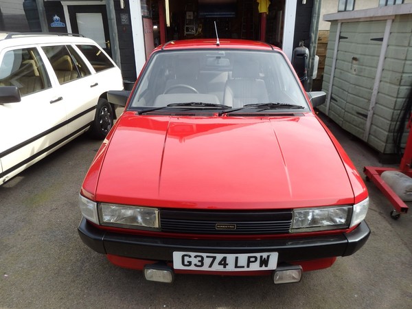 Image Placeholders2_edited.jpg