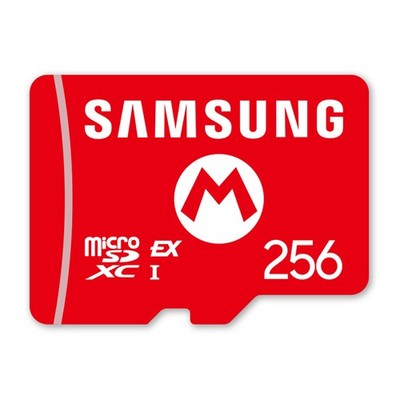 Nintendo Switch 2 mircoSD Express Card micro SD Express 10016156