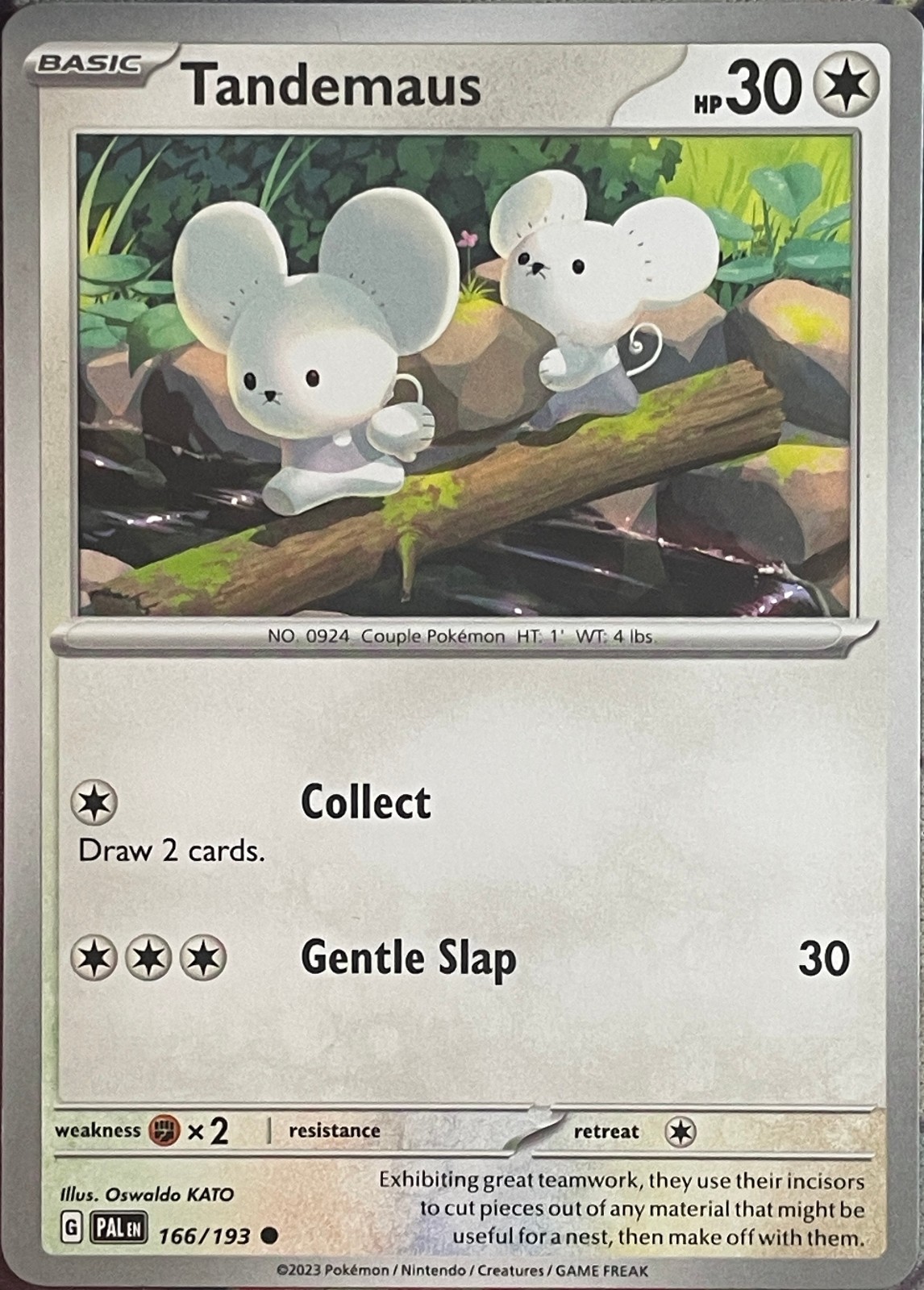 Tandemaus - 166/193 - Paldea Evolved Pokemon 2023