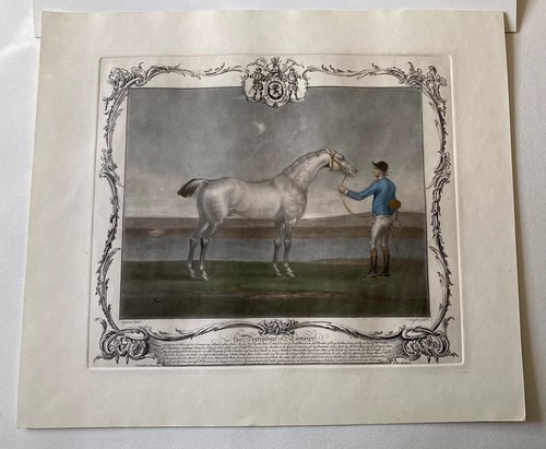 Racehorse “Lamprey” And Jockey 1755 Mezzotint Portraiture H/C James Seymour VG - Picture 13 of 16