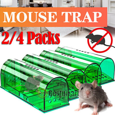 Humane Mouse Traps 2/4 Pack Live Catch and Release Mousetrap