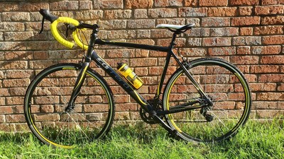 carrera zelos black and yellow