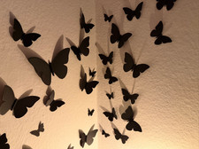 Butterfly Wall art Decor