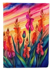 Gladiolus in Color Flag Garden Size DAC1437GF