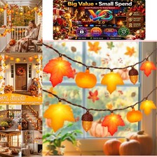 Fall Thanksgiving LED String Lights 12Ft 20 Maple Leaf Acorn Pumpkin Plug In