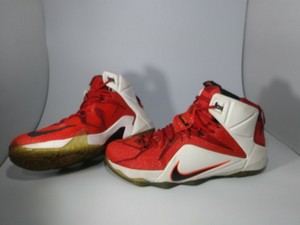 nike lebron 12 heart of a lion