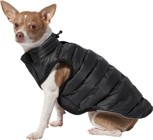 kong dog jacket