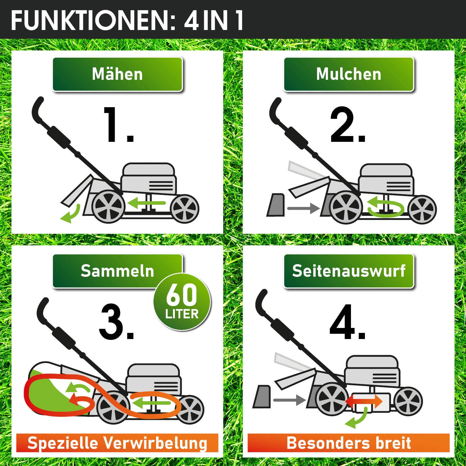Bild 6 von 16