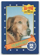 1992 Milk Bone All Star Drug Detecting Dogs #8 Humphrey Golden Retriever VG-EX