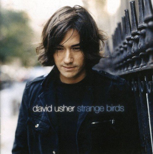 David Usher Strange Birds (CD)