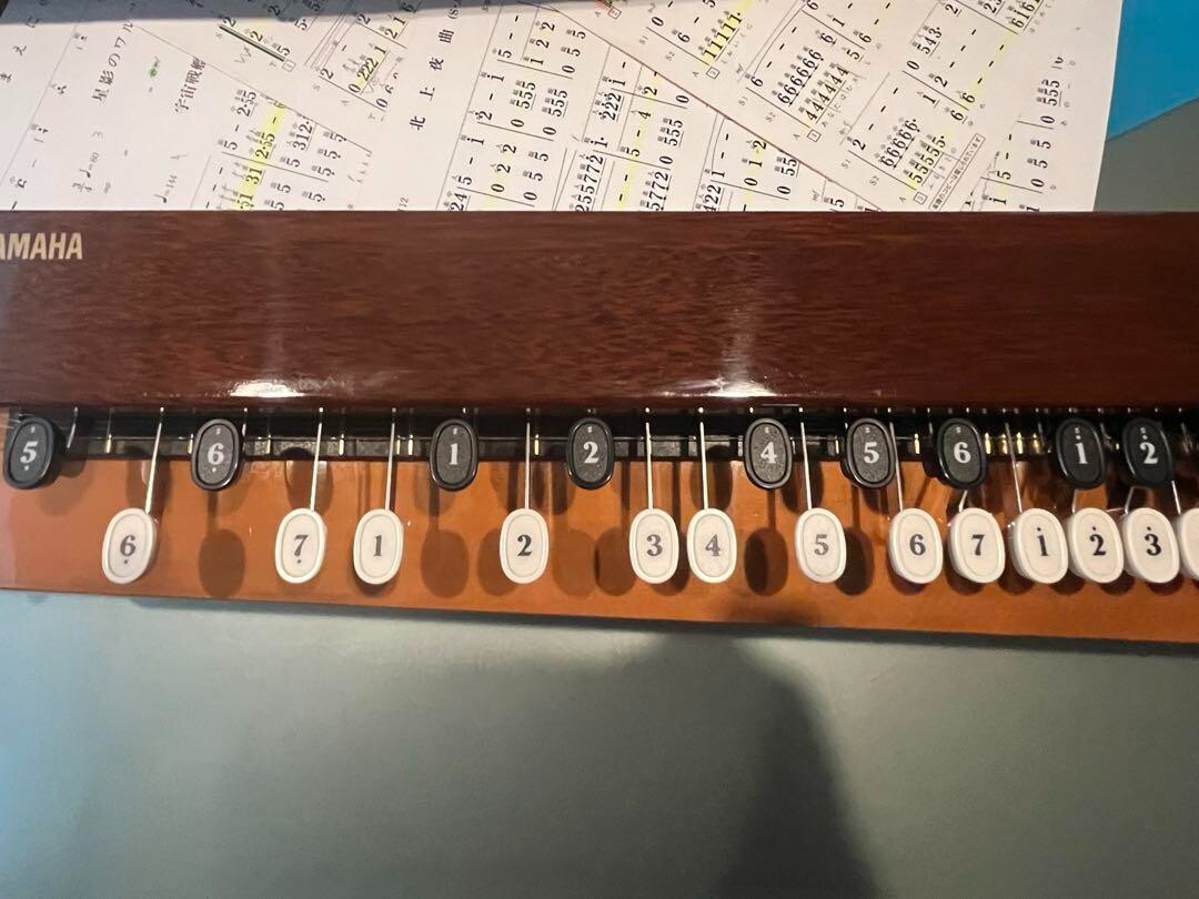 YAMAHA TH-10E Taishogoto Japanese Musical Instrument Auto