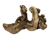 Driftwood Taxidermy Aquarium Terrarium Beach House Home Decor Natural Plant 10"