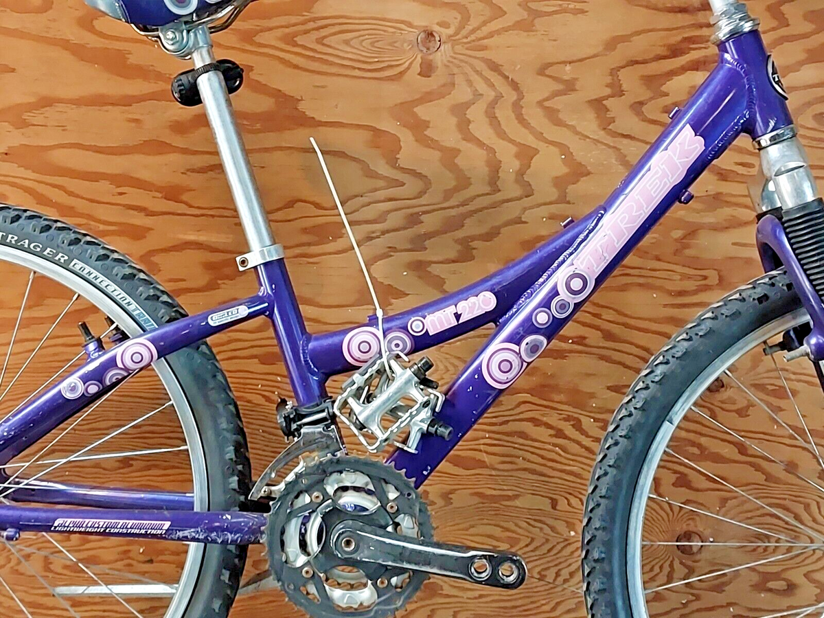 2010 Trek MT220 24