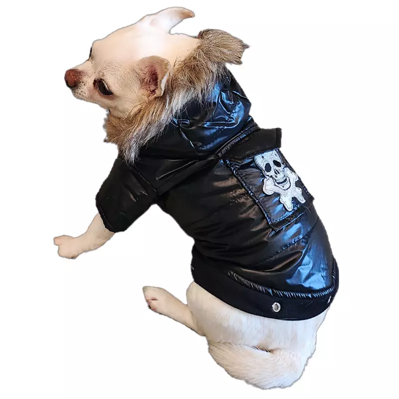 Tiny dog shop coats