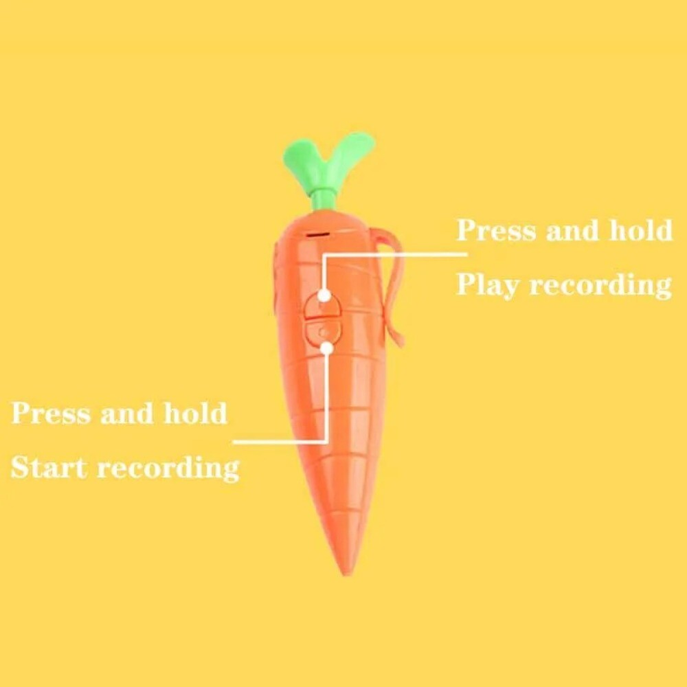 Funny Gift Novelty Voice Recorder Pen Write Graffiti Ballpoint Pen for