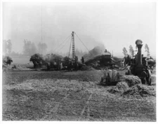 Bean Threshing Operation On The Centinela Ranch Later Inglewood 19 - Old Photo