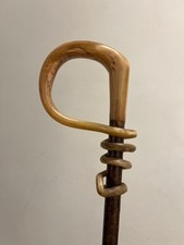 Rams Horn Crook On Hazel Shaft Walking Hiking Stick. Handmade-48"