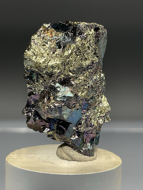 SS Rocks - Covellite with Pyrite (Leonard Mine, Butte, Montana) 13.7g
