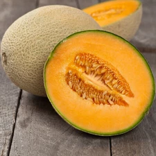 50 IROQUOIS MELON SEEDS NON-GMO  FRESH HARVEST FOR GARDENS