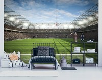 Consalnet FußBall Foto Tapete Stadion FüR Kinderzimmer, GrüN, 144X100 Zoll