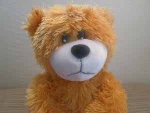 bear stuffie