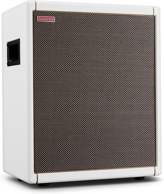 Positive Grid Spark CAB Powered Guitar Amp Speaker Cabinet for Spark Series Amps