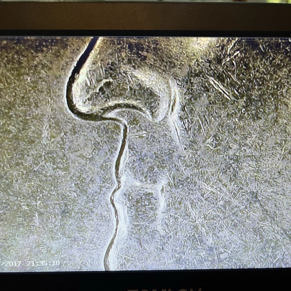 2008 P Alaska Quarter Dollar Bear Claw Error And Multiple Additional Errors Coin - Image 3 of 4