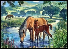 Fell Horses - Chart Counted Cross Stitch Patterns Needlework DIY DMC Color