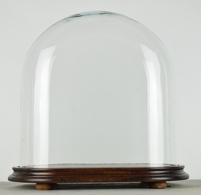 Ovale Glaskuppel mit Holzsockel Vintage Look große Höhe 33,5 x 33 x 16,5 cm