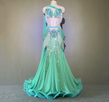 Egyptian belly dance professional made any color/size